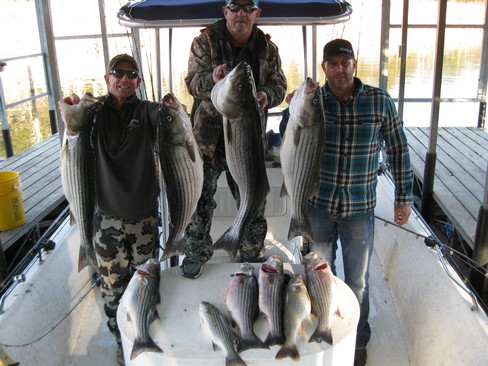 Nice Striped Bass